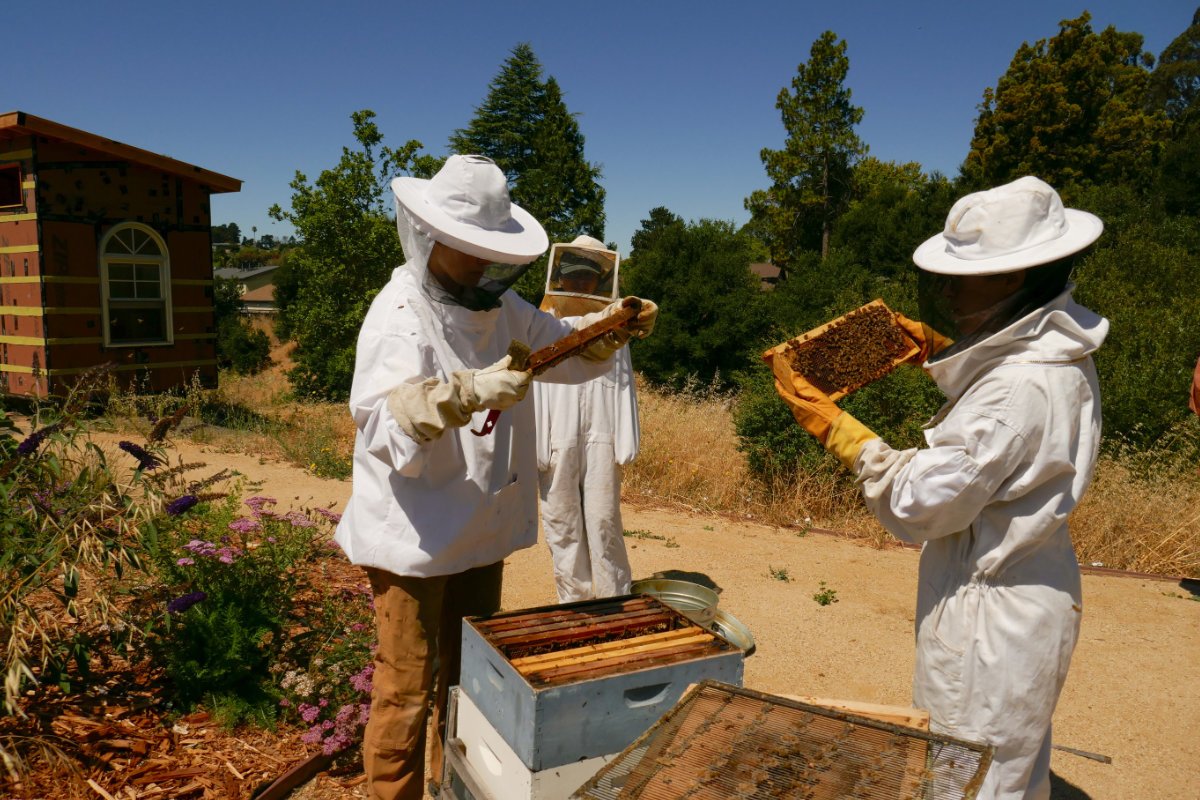 A California Farming Collective Navigates Federal Funding Cuts