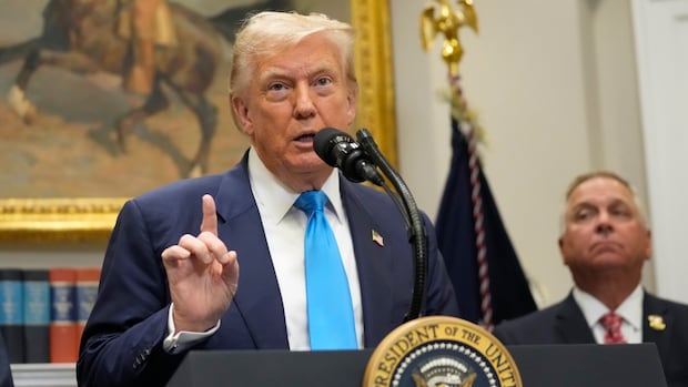 Judges question Trump’s authority to impose tariffs without Congress